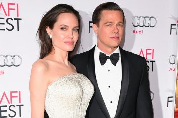 11 Things Brad Pitt and Angelina Jolie have Said about their Shocking Split